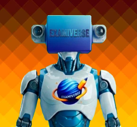 Examiverse AI